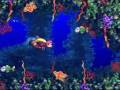 DKC3 105 Run Pt 13 Level 3 1 Bazza S Blockade