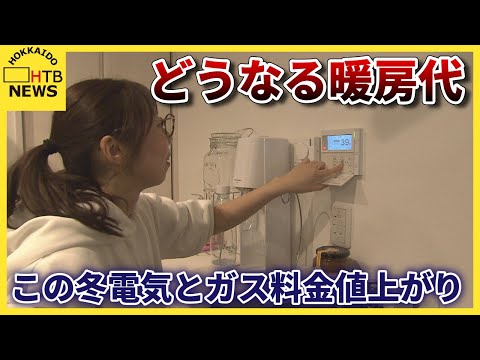 電気なしで冬に温室を暖めるにはどうすればよいですか？環境に優しく安価な 3 つのソリューション  庭園