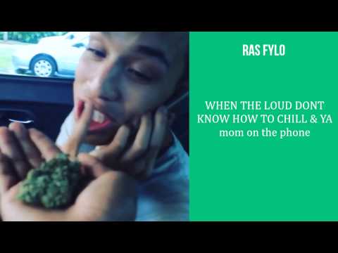 Best Vines November 2014 Day 23 Compilation BVDC Vol 12