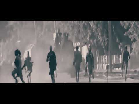 king Joe reggae New single shining star