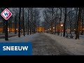 Mooie beelden van Den Haag in de sneeuw - OMROEP WEST