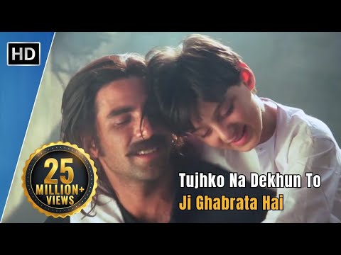 Tujhko Na Dekhun To Ji Ghabrata Hai | Jaanwar (1999) | Akshay Kumar | Udit Narayan Hit Songs
