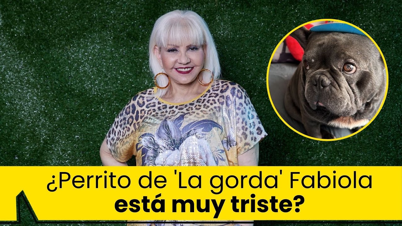 YouTube Thumbnail Downloader FULL HQ IMAGE