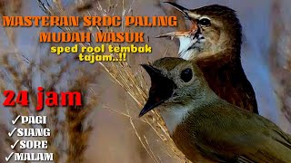 Download lagu MASTERAN SRDC FULL ISIAN COCOK BANGET ROLL TEMBAK TAJAM DAN RAPAT,MUDAH MASUK ,TERAPI DAN MASTERAN mp3