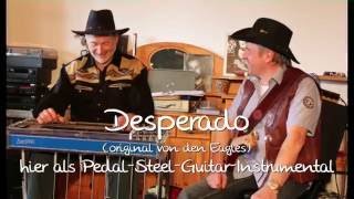 Desperado Pedal Steel Guitar Instrumental E9