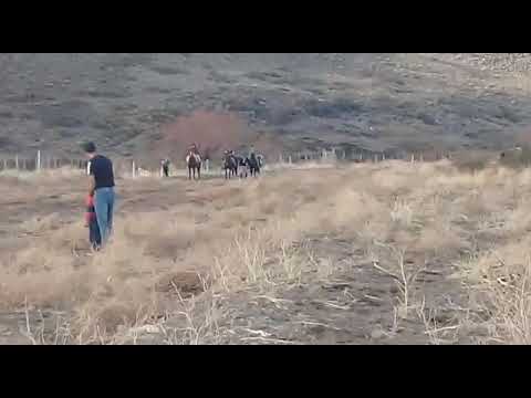 Carrera de caballos en las lajas