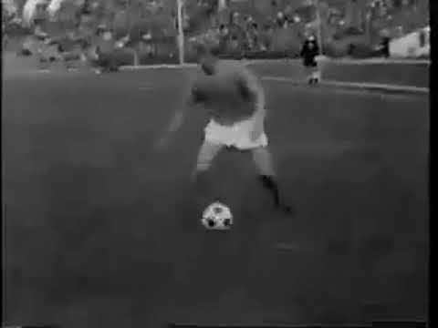 1975 Арарат -  Заря (Ворошиловград), Кубок СССР