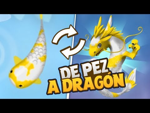 udegNIX-zDQ/default.jpg