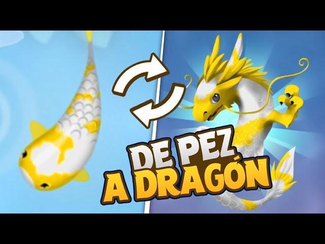 udegNIX-zDQ/default.jpg
