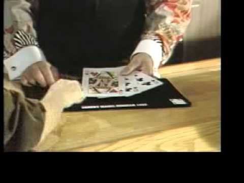 Tonte by Ton Onosaka