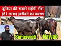 World S Expensive Buffalo Saraswati Watch Pavitra Bhai S Farm For The First Time On YouTube