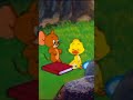 NOBODY LOVE ME 🥺💔 TOM AND JERRY #tomandjerry #canwekissforever #shorts #smitpatel