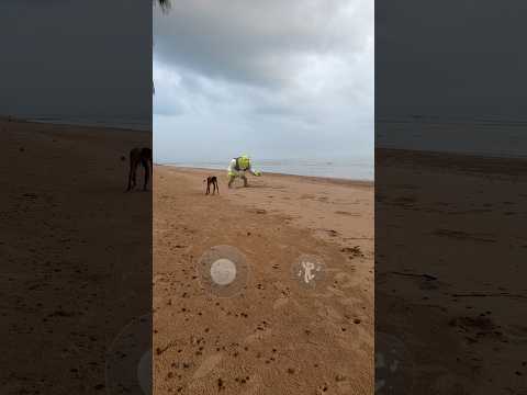 ลองวิ่งแข่งกับยักษ์เขียว #แม็คเกอร์ #ครอบครัวเอ็นจอย #เอ็นจอยคับผม #คนไทยเป็นคนตลก