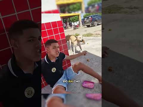 Đừng đùa nhau nhé