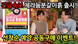 제라늄 분갈이 흙 출시 예약 공동구매 선착순 이벤트!