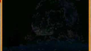 The Second Star to the Right T SQUAD