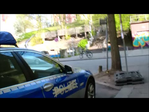 Überfall in Hamburg - Eichhörnchen werden immer gewiefter