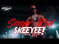 SkeeYee Tribal Mix DjGecko