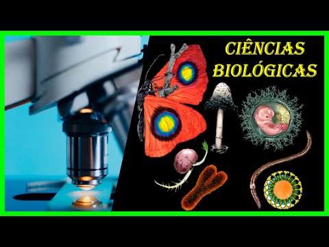 Como ser BIÓLOGO (A) no BRASIL? Faculdade de Biologia e perspectivas de trabalho