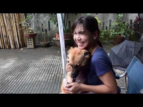 KADENA: A Day in the Life of Carina