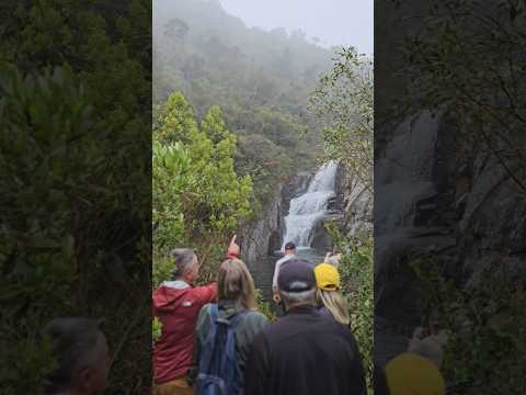 Cachoeiras de águas cristalinas no Parque Nacional do Caparaó #nature #cachoeira #waterfall #es #mg
