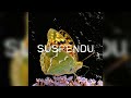 Suspended Th3 Dream7