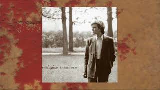 David Sylvian / Brilliant Trees (Full Album)