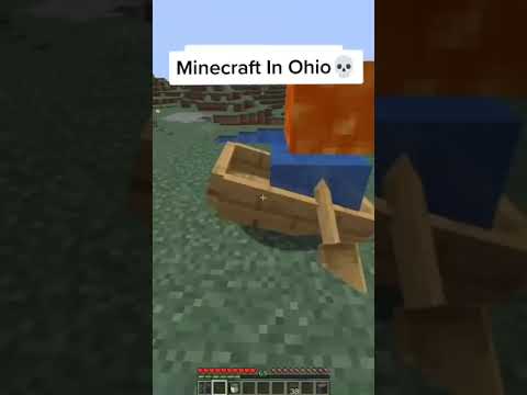 Insane Ohio Minecraft Adventure! 😱
