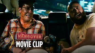 Hangover 2 | They Shot The Monkey | Warner Bros. Entertainment