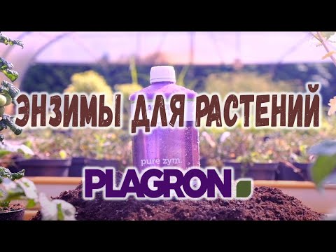 Plagron Pure Zym 250 мл Энзимы для растений - фото 1 - id-p1435274131