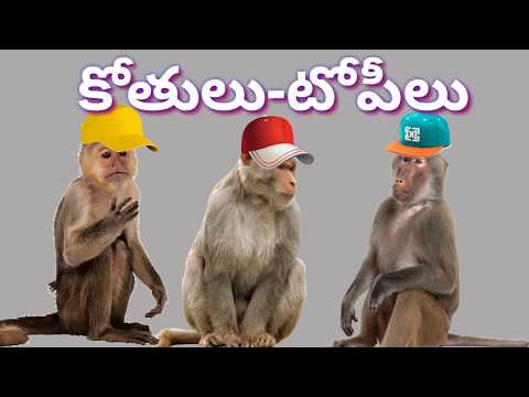 Kothulu - topilu story - కోతులు - టోపీలు కథ - audio stories