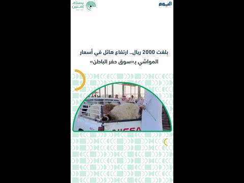  بلغت 2000 ريال.. ارتفاع هائل في أسعار المواشي بـ«سوق حفر الباطن»