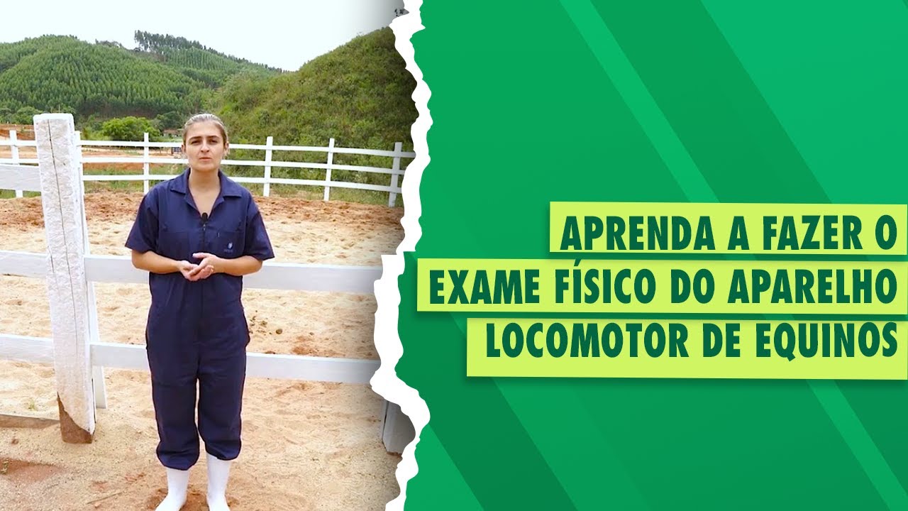 Semiologia em Equinos: Aparelho Locomotor