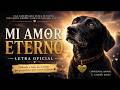 Mi Amor Eterno - Letra Oficial | Conciencia Animal x Styben Arias