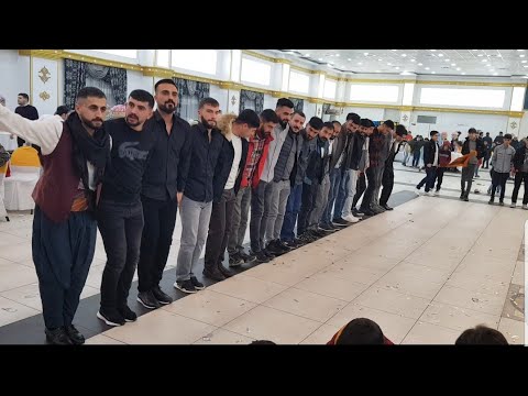 DİYARBAKIR HALAYI HALAYDA BELLİ OLUR YENİ AKIM YEPYENİ VİDEOLARLA @olcaykilicci5357 #instagram