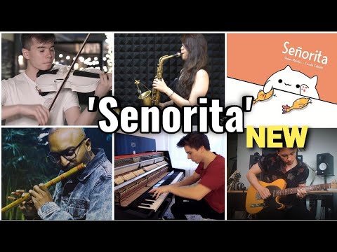 WhoPlayedWell :Señorita ( violin, piano, bongo cat, saxophone, guitar, flute ) camila cabello