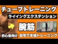 【腕】二の腕にしっかり効く!初心者向けチューブトレーニング