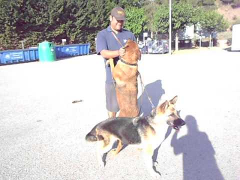 Alberto mit Bojan und Graciela