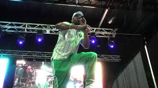Baby Cham Performs 'Heading to the Top' at Florida Jerk Festival: Orlando 2021