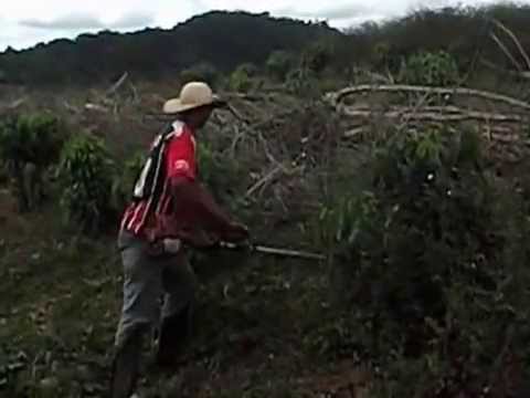 Roceiro Feliz video