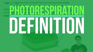 Photorespiration