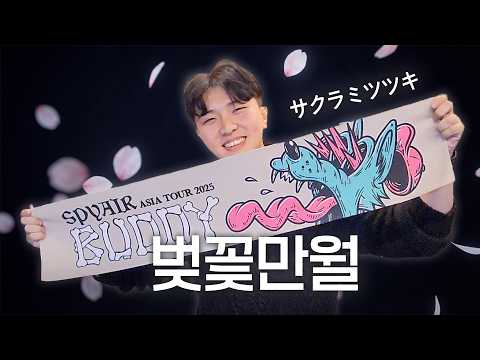 벚꽃만월 - 주환