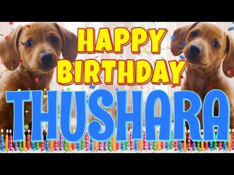 Happy Birthday Thushara! ( Funny Talking Dogs ) What Is Free On My Birthday