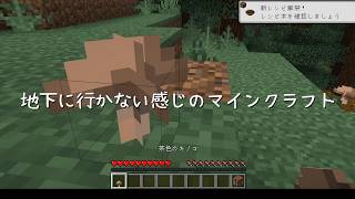 地下に行かない感じのマインクラフトその0