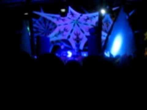 Sychotria @ Transylvania Calling 2011