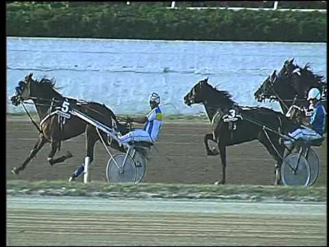 Trotto 17/09/2015 - 7° corsa