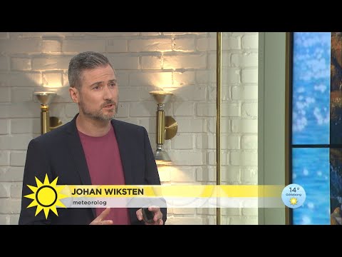 Här debuterar meteorologen Johan i Nyhetsmorgon - Nyhetsmorgon (TV4)