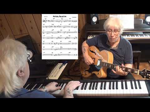 Natural Selection - Jazz guitar & piano cover ( Richie Beirach )