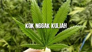 Download lagu Story Wa||Bebas Merdeka|| mp3 Download lagu Story Wa||Bebas Merdeka|| mp3