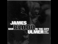 James Blood Ulmer   -  This Land Is Nobody's Land